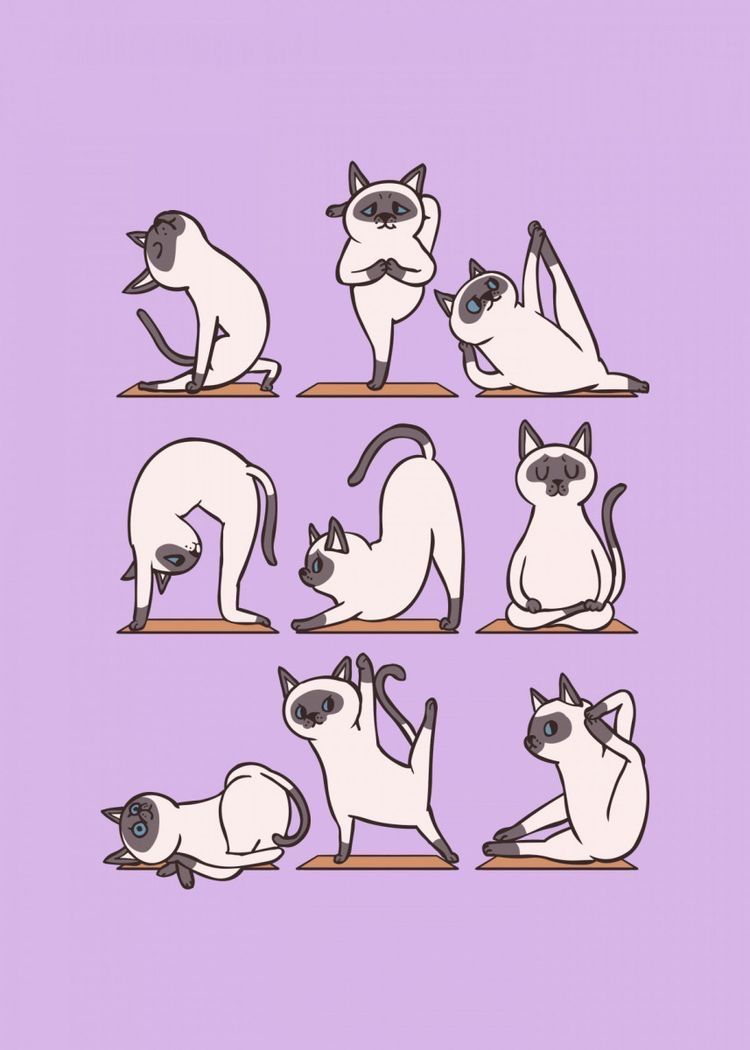 Women’s Lavender Gym T-Shirt – Cute Cat Yoga Fitness Printed T-Shirt