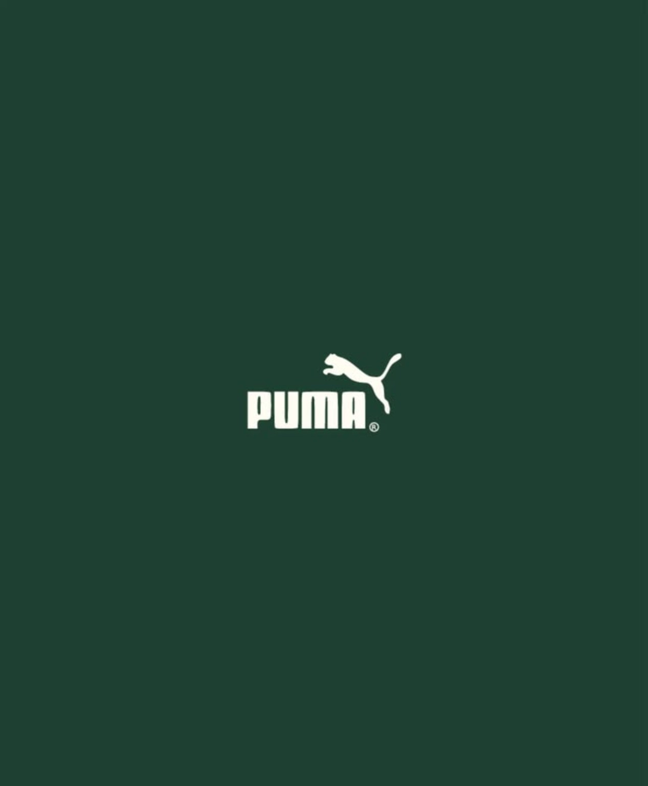 Puma Printed Hoodie for Men